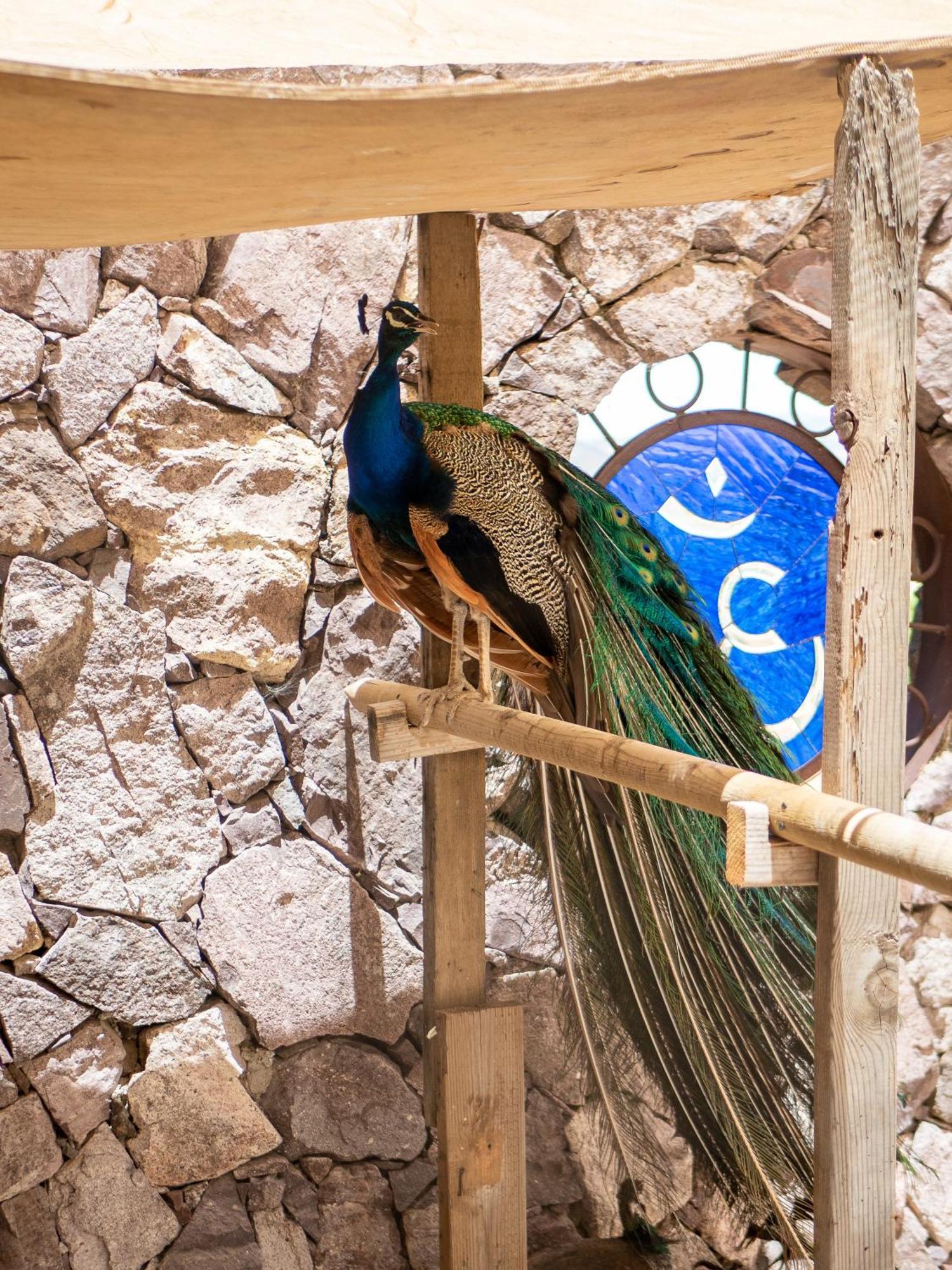 エンセナダ Posada Balapradaゲストハウス エクステリア 写真